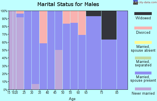 Zip code 50150 marital status for males