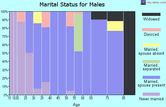 Zip code 50153 marital status for males