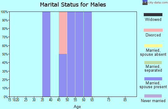 Zip code 50165 marital status for males