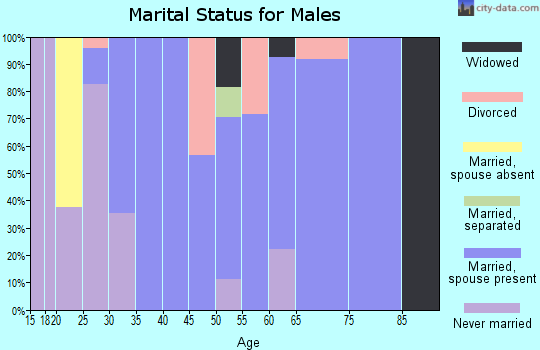 Zip code 50173 marital status for males