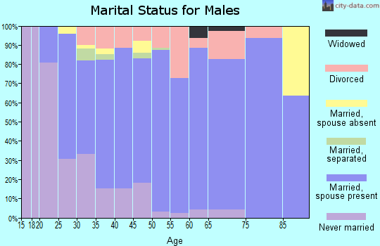 Zip code 50201 marital status for males