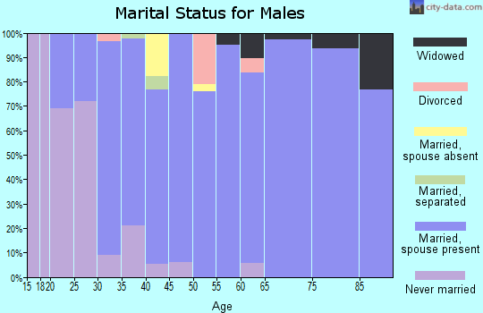 Zip code 50207 marital status for males
