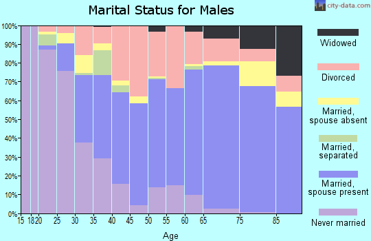 Zip code 50208 marital status for males