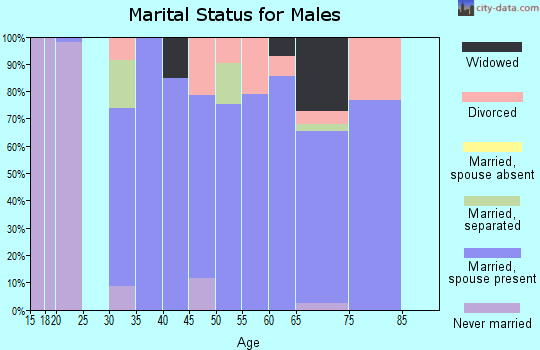 Zip code 50210 marital status for males