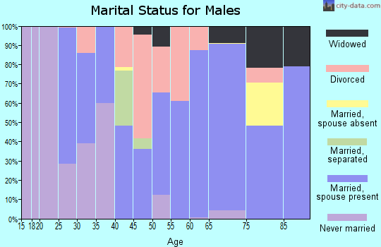 Zip code 50213 marital status for males