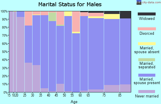 Zip code 50219 marital status for males