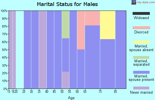Zip code 50232 marital status for males