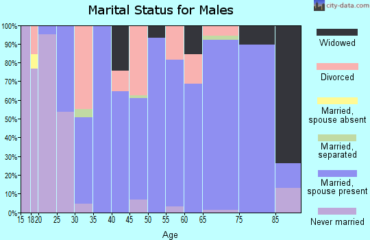 Zip code 50240 marital status for males