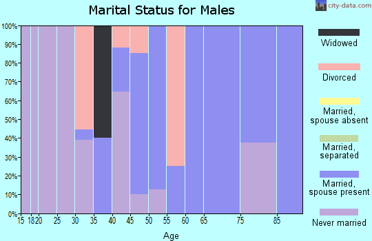 Zip code 50243 marital status for males