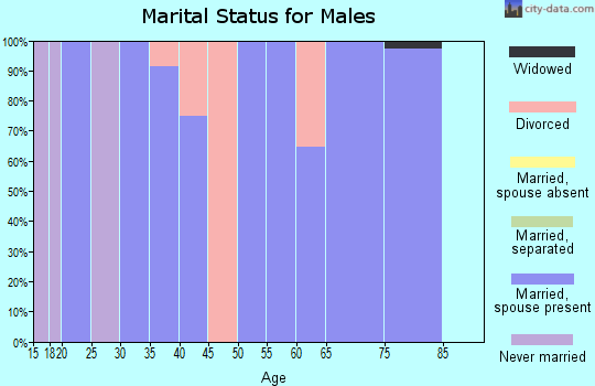 Zip code 50262 marital status for males