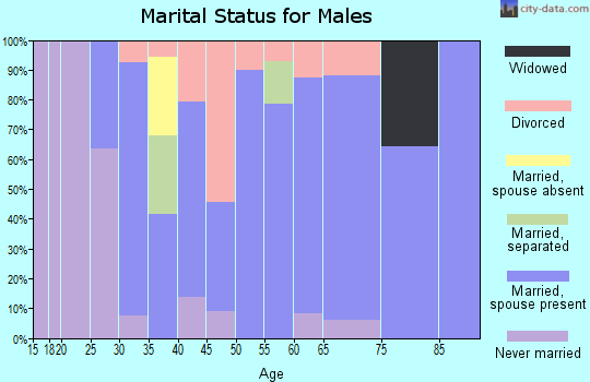 Zip code 50271 marital status for males