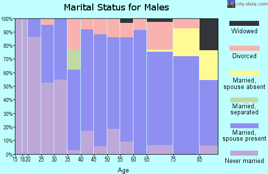 Zip code 50273 marital status for males