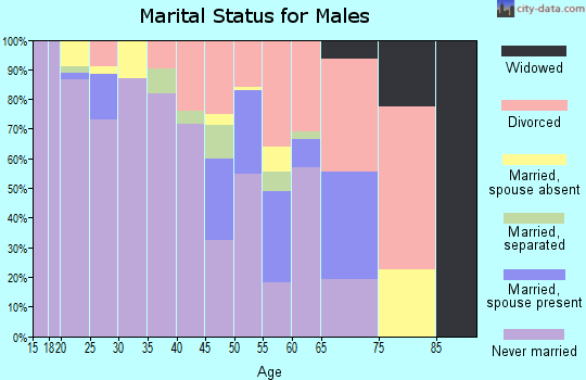 Zip code 50309 marital status for males