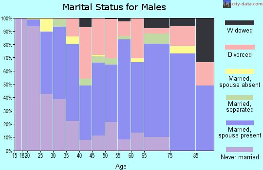 Zip code 50313 marital status for males
