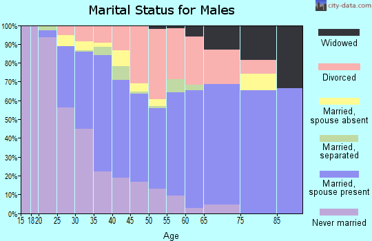 Zip code 50315 marital status for males