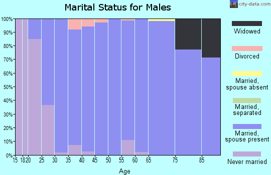 Zip code 50323 marital status for males