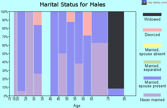 Zip code 50431 marital status for males