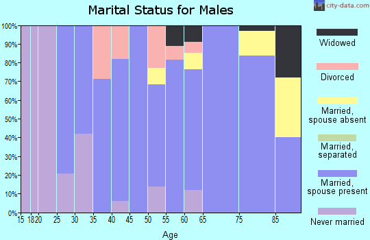 Zip code 50447 marital status for males