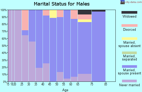 Zip code 50483 marital status for males