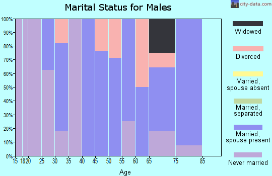 Zip code 50484 marital status for males