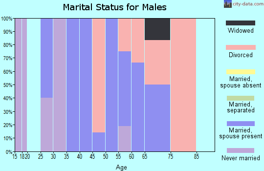 Zip code 50520 marital status for males