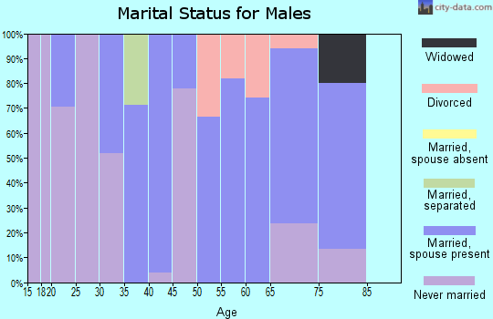 Zip code 50522 marital status for males