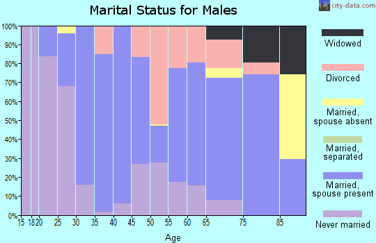Zip code 50525 marital status for males
