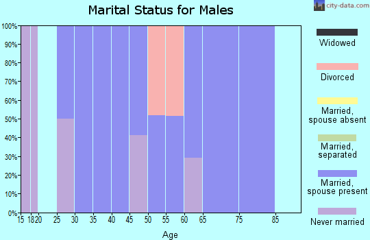 Zip code 50528 marital status for males
