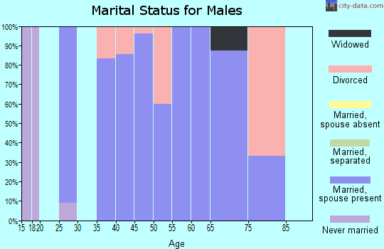 Zip code 50531 marital status for males