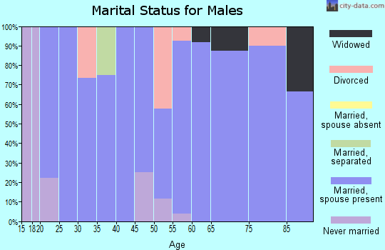 Zip code 50538 marital status for males