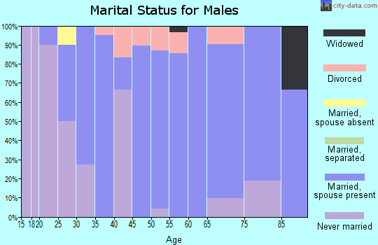 Zip code 50539 marital status for males