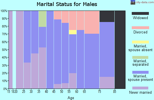 Zip code 50541 marital status for males