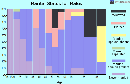 Zip code 50543 marital status for males