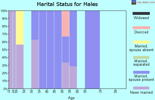 Zip code 50545 marital status for males