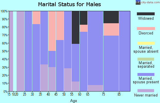 Zip code 50577 marital status for males