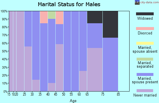Zip code 50591 marital status for males