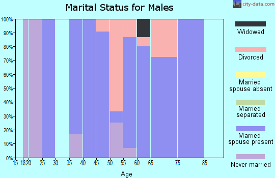 Zip code 50599 marital status for males