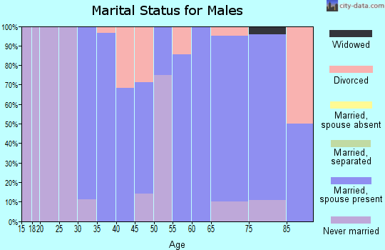 Zip code 50603 marital status for males