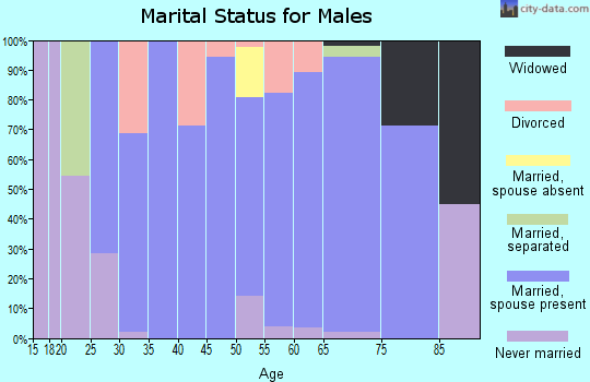 Zip code 50606 marital status for males