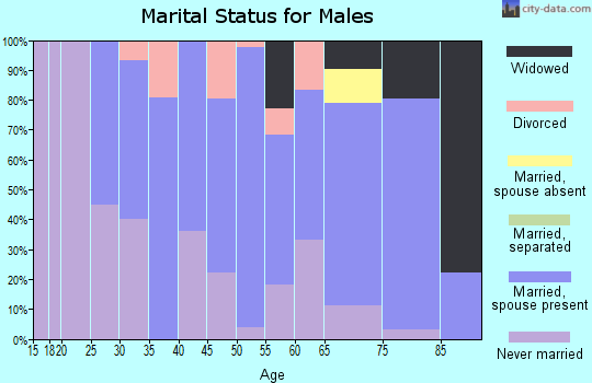 Zip code 50628 marital status for males