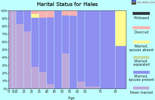 Zip code 50638 marital status for males