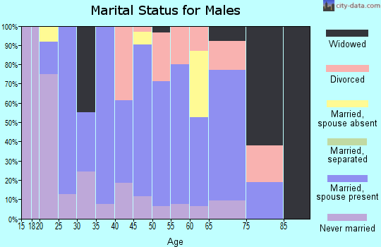 Zip code 50641 marital status for males
