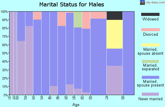 Zip code 50666 marital status for males