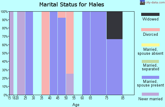 Zip code 50671 marital status for males