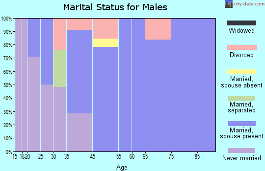 Zip code 50706 marital status for males
