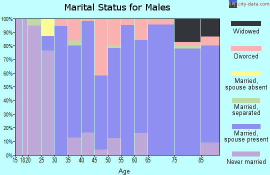 Zip code 51001 marital status for males