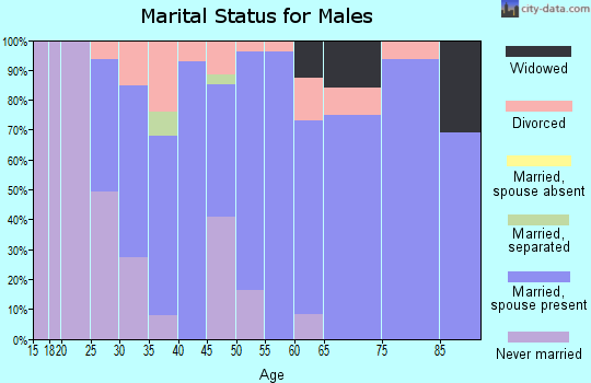 Zip code 51005 marital status for males