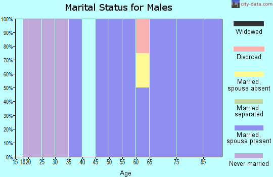 Zip code 51008 marital status for males