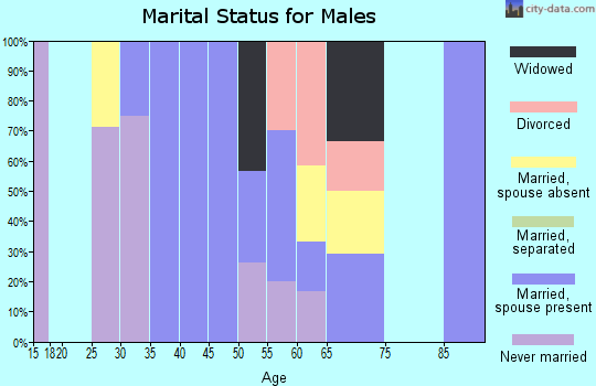 Zip code 51010 marital status for males