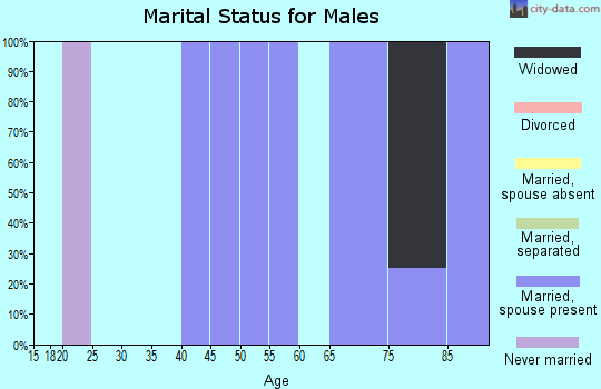 Zip code 51011 marital status for males